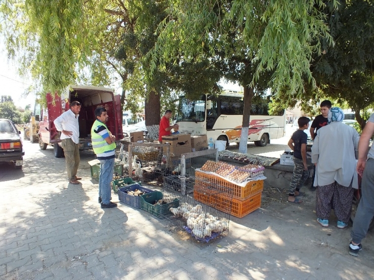 Pazaryeri’nde Tavuk Pazarı Sorunu Çözüldü