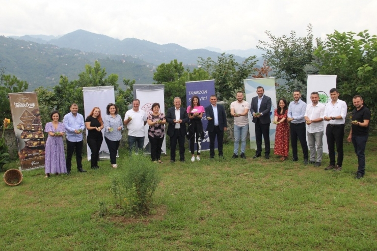 “Dünyanın Fındığı Burada” Dediler