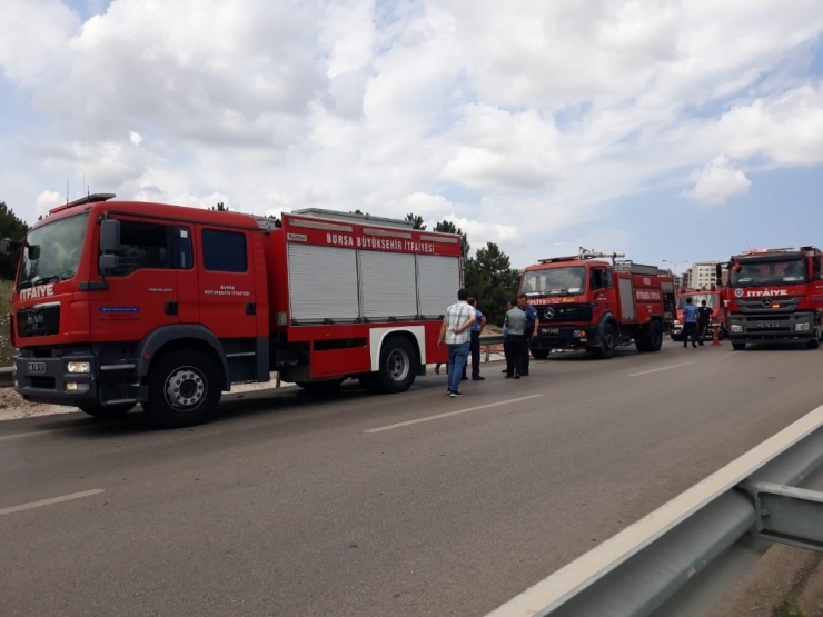 Piknikçiler Ağaçlık Alanı Yaktı