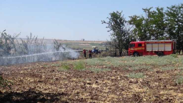 Ağaçlık Alanda Korkutan Yangın