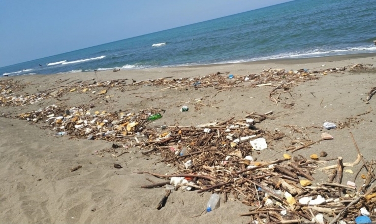 Selin Karadeniz Kıyılarına Getirdiği Atıklar Temizleniyor