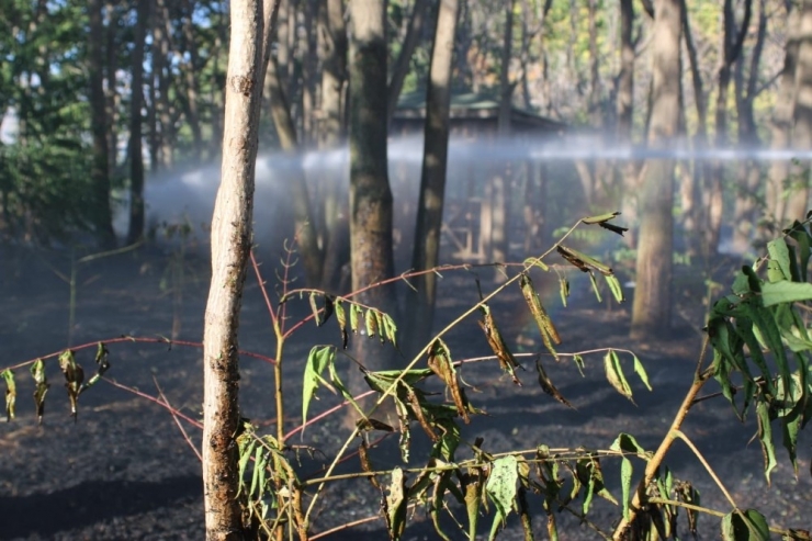 Erzincan Organize Sanayi Bölgesi’nde Çıkan Yangın Korkuttu