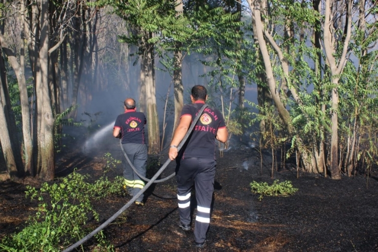 Erzincan Organize Sanayi Bölgesi’nde Çıkan Yangın Korkuttu