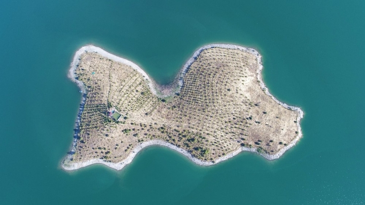 Tek Kelime İle "Harika"