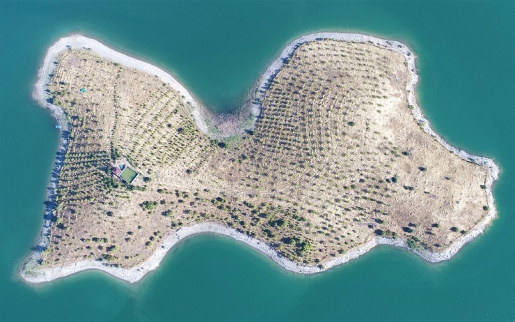 Tek Kelime İle "Harika"