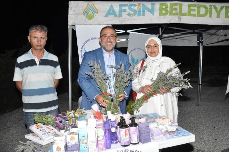 Kahramanmaraş’ta Lavanta Hasat Şenliği