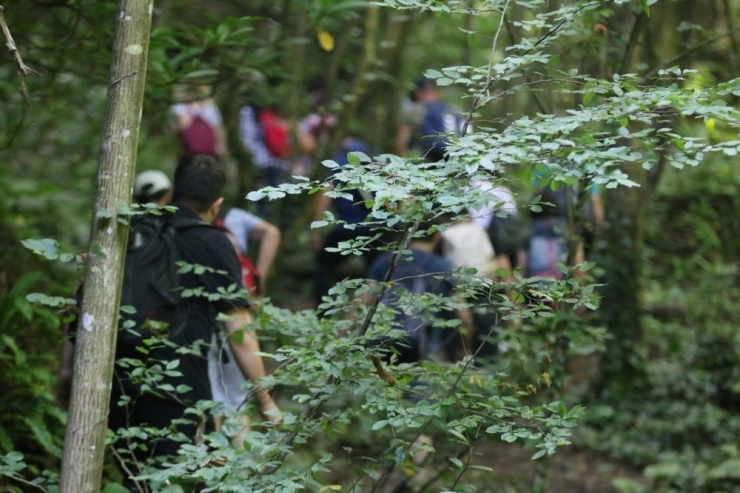 Doğa Severlerin Yeni Rotası, Nüzhetiye Şelalesi