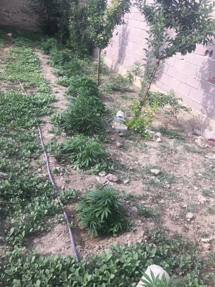 Uyuşturucu Operasyonunda 1 Kişi Tutuklandı