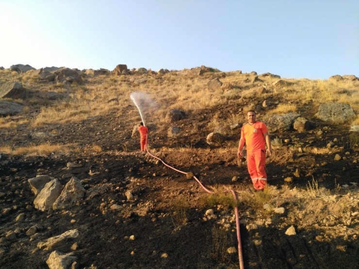 Ağaçlandırma Sahasındaki Yangında 250 Adet Fidan Yandı