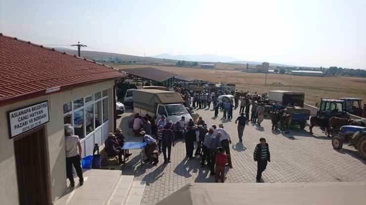 Aslanapa Belediyesi Canlı Hayvan Pazarı Ve Borsası 13 Ağustos’a Kadar Her Gün Açık