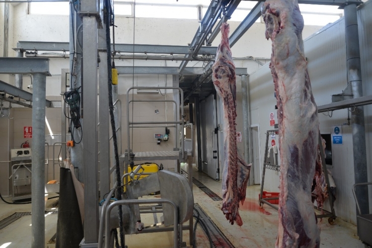 Bilecik Belediye Mezbahası Kurban Bayramına Hazır