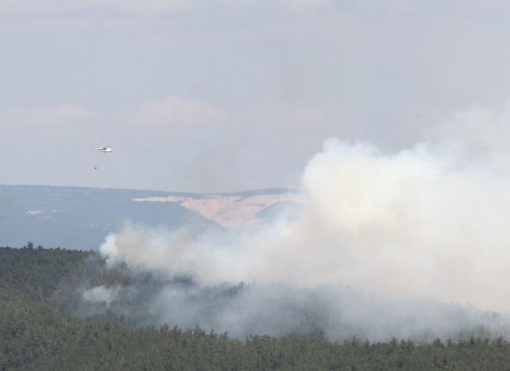 Orman Yangınına Müdahale Sürüyor