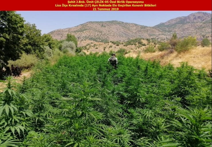 Diyarbakır’da Terörün Finans Kaynağı Kurutuldu