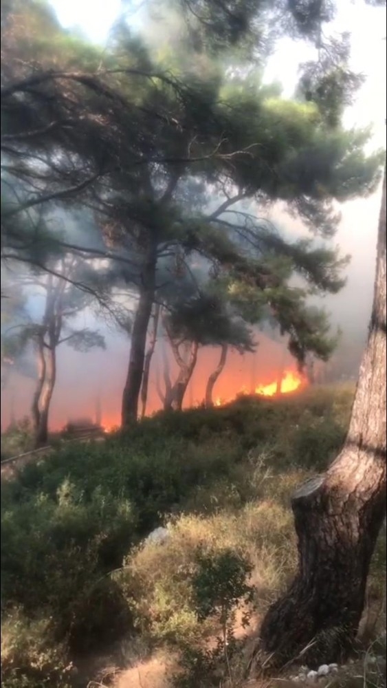İzmir’in Konak İlçesinde, Henüz Belirlenemeyen Bir Sebepten Dolayı Orman Yangını Çıktı. Yerleşim Yerlerine Yakın Olduğu Belirtilen Yangına 3 Helikopter, 8 Arazöz İle Müdahale Ediliyor.