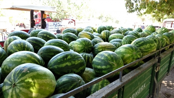 Temmuz Ayının Zam Şampiyonu Yurt İçi Turları