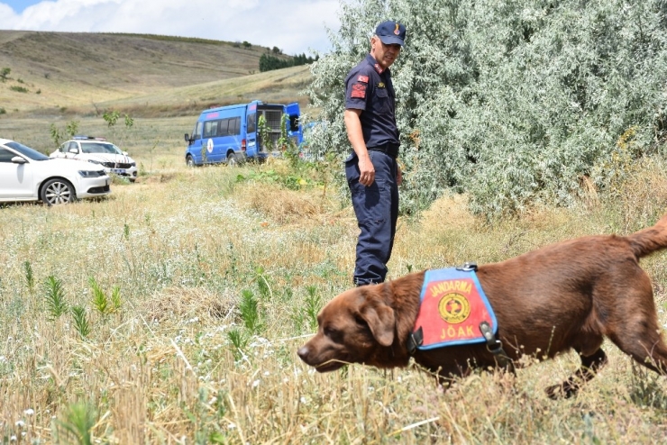 Kayıp Katip Kadavra Ve İz Takip Köpekleriyle Aranıyor