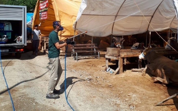 Kocaeli’de Kurban Satış Yerleri İlaçlanıyor