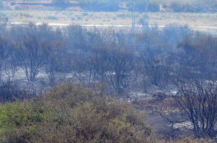 Manisa’da 20 Dönüm Tarım Arazisi Küle Döndü