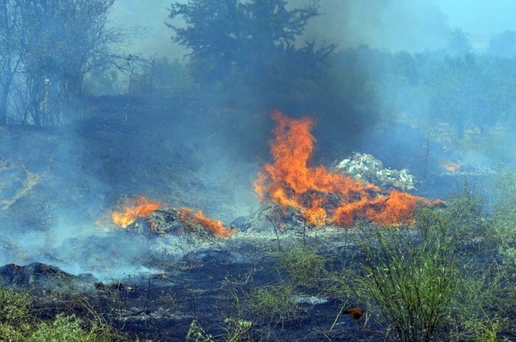 Manisa’da 20 Dönüm Tarım Arazisi Küle Döndü