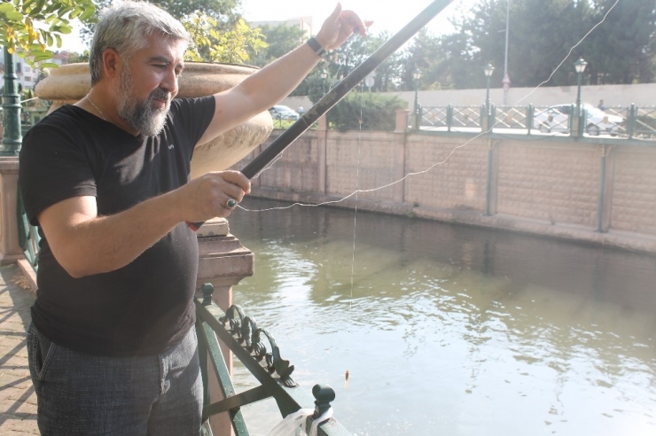 Şehir Merkezinde Olta Keyfi