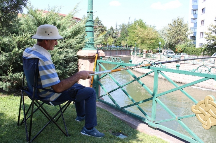 Şehir Merkezinde Olta Keyfi