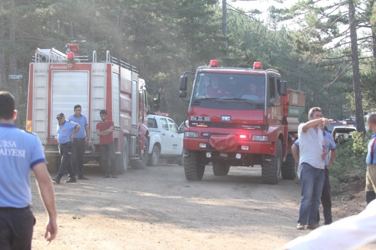Bursa Valisi Canbolat’tan Orman Yangını Açıklaması