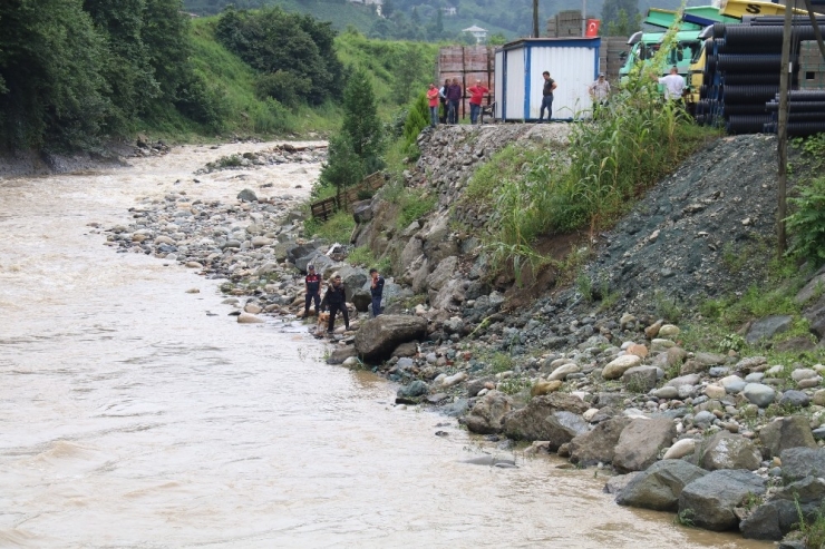 Rize’de Sele Kapılan Hüseyin Çapoğlu’nu Aramaya, Fındıklı’nın Kahramanı ’Kır’ İle Devam Ediliyor