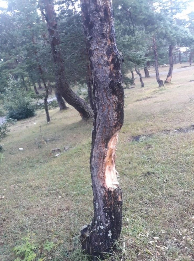 Pikniğe Giden Vatandaşlar Gördükleri Manzara İle Şok Oldu