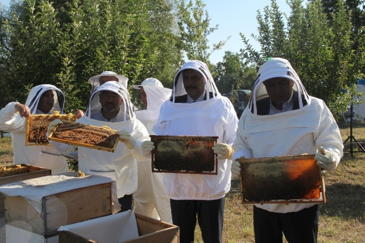 Çorum’da “Bal Hasadı” Başladı