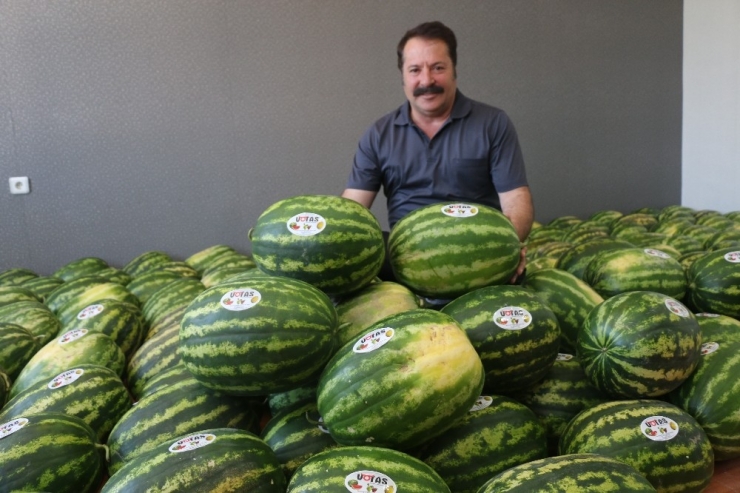 Votaş Ürünleri Satışta