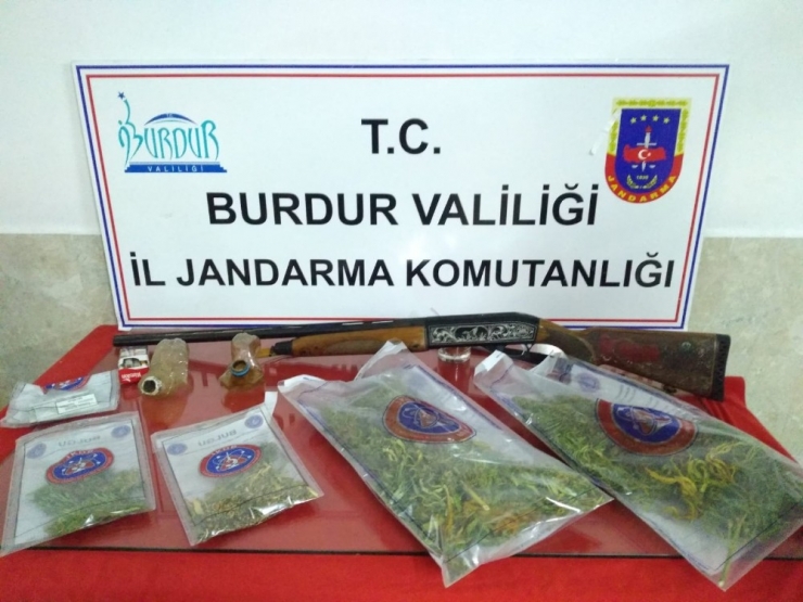 Burdur’da Kaçak Kenevir Ekimi Yapan 2 Kişi Yakalandı