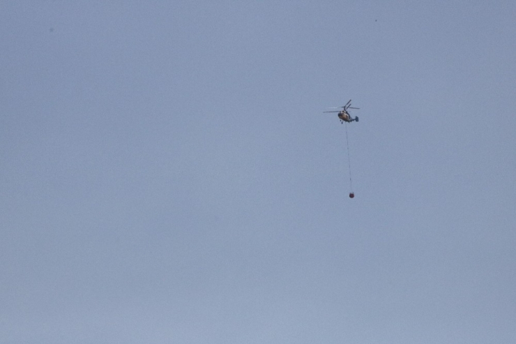 Kahramanmaraş’ta Orman Yangını