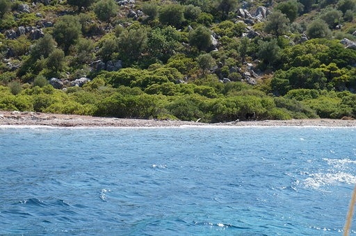 Ada Didik Didik Arandı, Eşek Bulunamadı