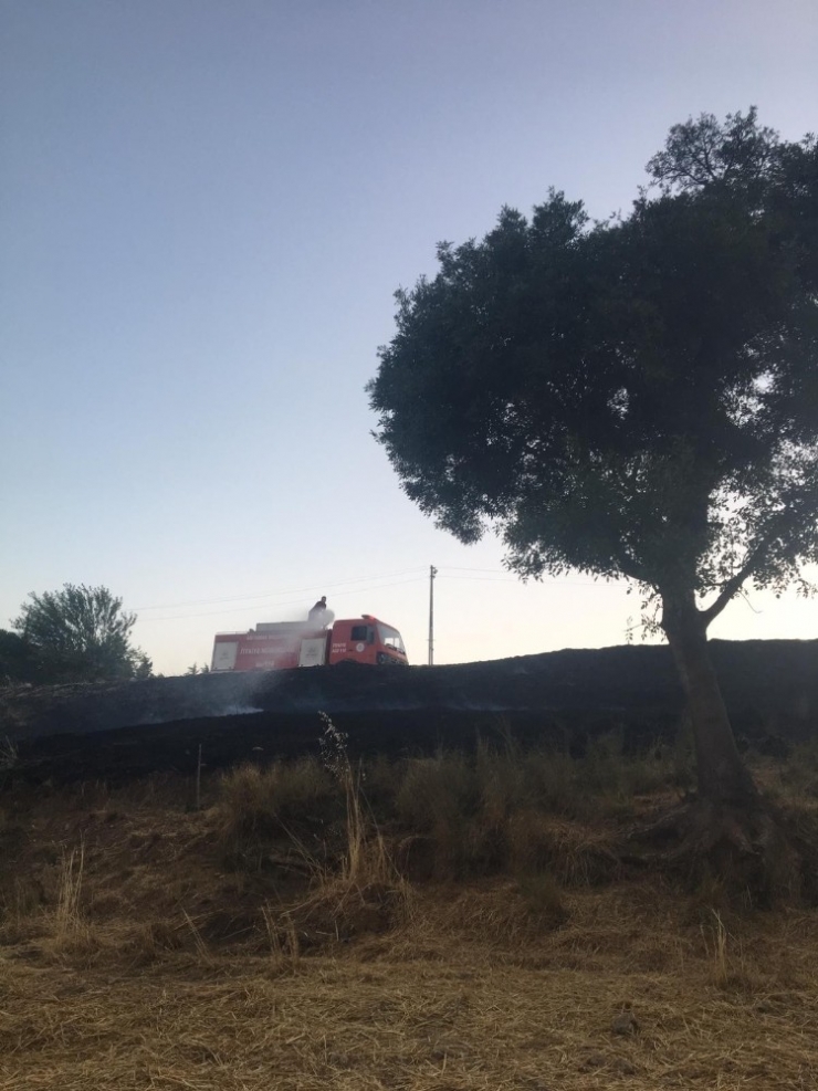 Anız Yangını Korkuttu