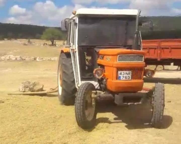 Alternatif Ürün Mercimek Hasadı Başladı