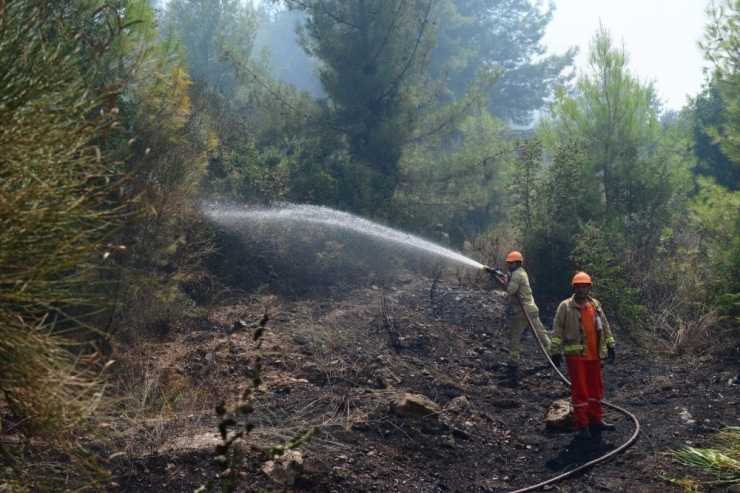Antalya’da Orman Yangını, 1 Hektar Orman Zarar Gördü