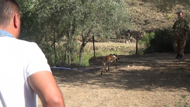 Bayburt’ta Kaybolan 21 Yaşındaki Genç Kız Aranıyor