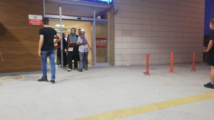 Şeftali Toplarken Ağaçtan Düştü