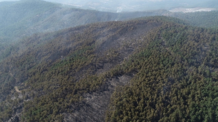 Bursa Orhaneli’de 60 Hektarlık Ormanlık Alan Kül Oldu