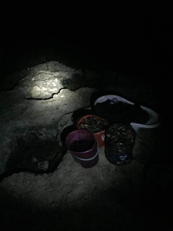 Deniz Patlıcanı Avcılarına 16 Bin Tl Ceza