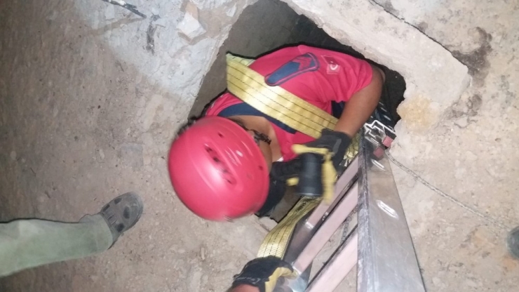 Apartman Boşluğuna Düşen Keçiyi İtfaiye Kurtardı