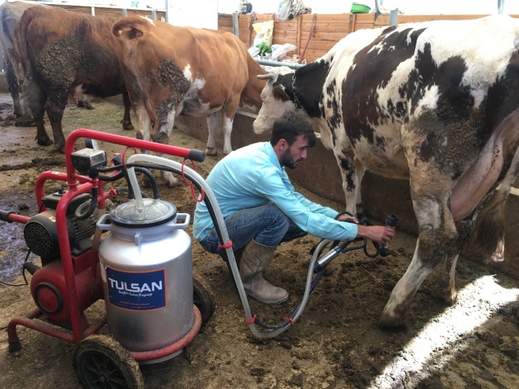 Devlet Desteğiyle Hayvanları Oldu, Süt Besiciliği Yapıyor