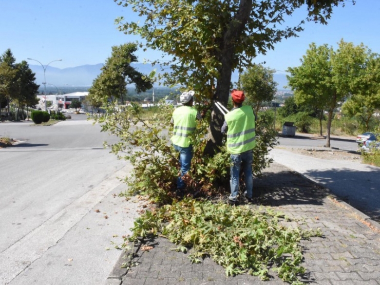Belediye Ekiplerinden Kalıcı Konutlarda Bayram Temizliği