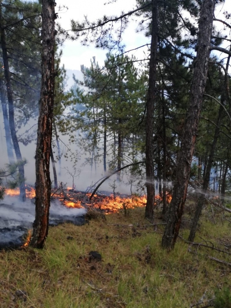 Edinilen Bilgiye Göre Saat 14.00 Civarında Boyabat Elekçam İşletme Şefliğine Bağlı Koçak Köyü Mevkisinde Bilinmeyen Bir Sebepten Dolayı Orman Yangını Meydana Geldi. Boyabat Orman İşletme Şefliğine Bağlı Arazözler Bölgeye Sev