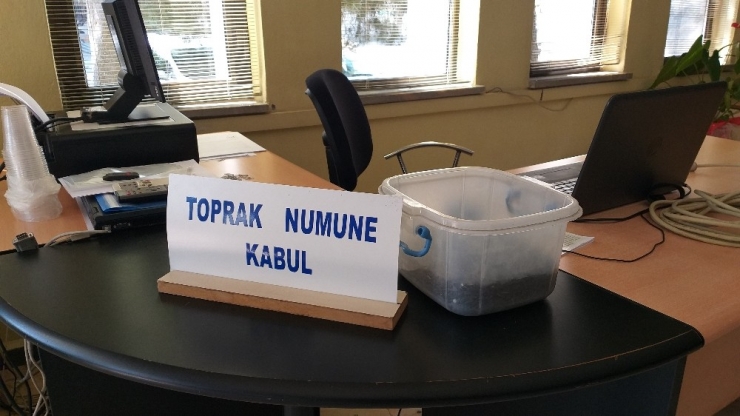 Keşan’da Yılın İlk Ayçiçeği 5.06 Tl’den Alıcı Buldu