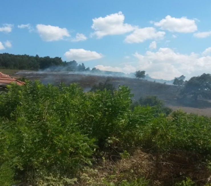 Gemlik’te Yangın Büyük Ormana Ulaşmadan Söndürüldü