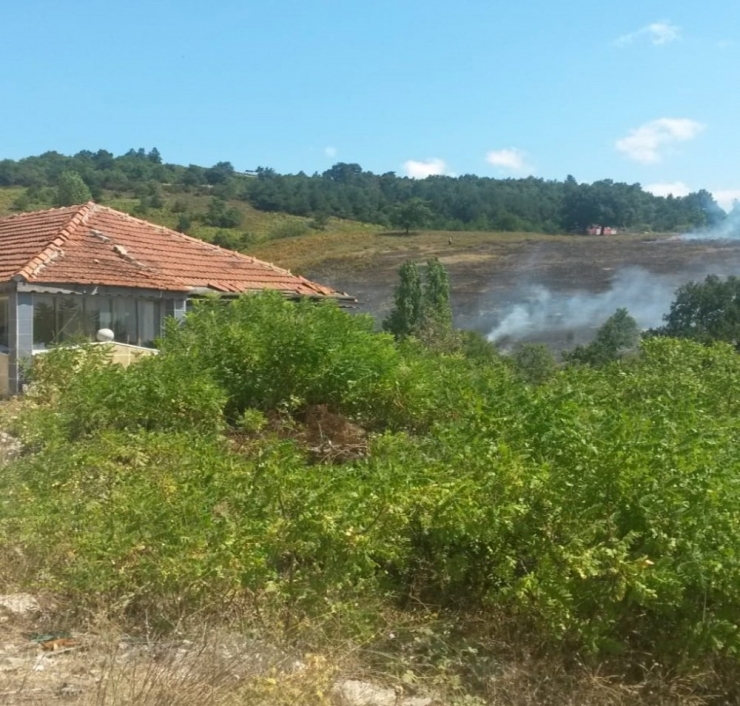 Gemlik’te Yangın Büyük Ormana Ulaşmadan Söndürüldü