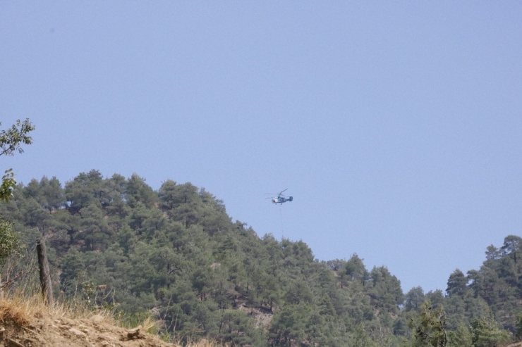 Kahramanmaraş’ta Orman Yangını