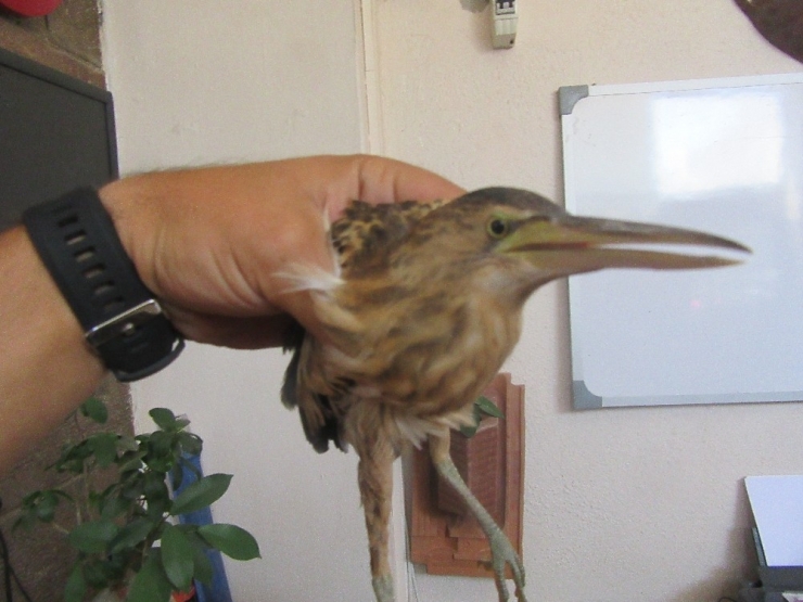 Kur’an Kursu Öğrencisinin Örnek Davranışı