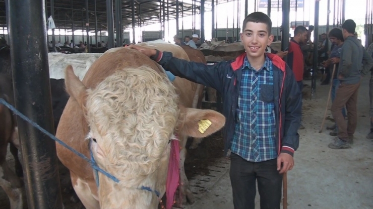 Otomobil Fiyatına Kurbanlık